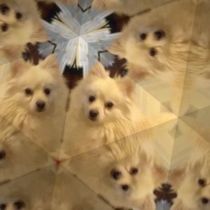 Meet your Posher, Peggy